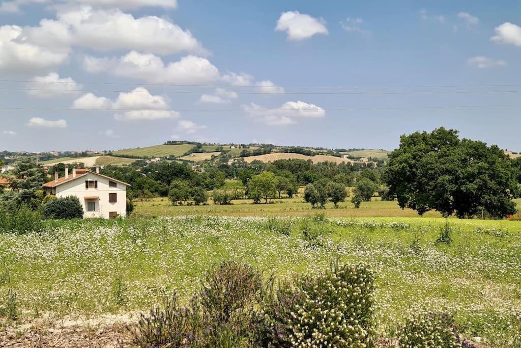 Villa Sant Isidoro كورينالدو المظهر الخارجي الصورة